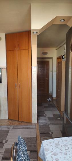 Apartament cu 2 camere decomandat în Plopilor