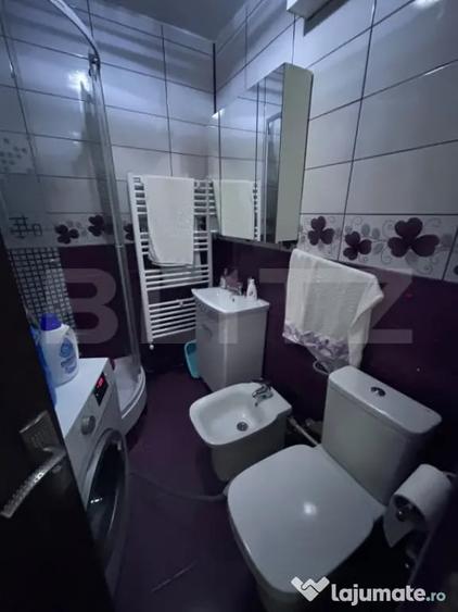 Garsonieră în Lotrului