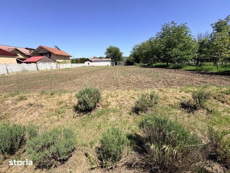 Casă cu 6 camere cu Teren 3000 Mp în Cârcea