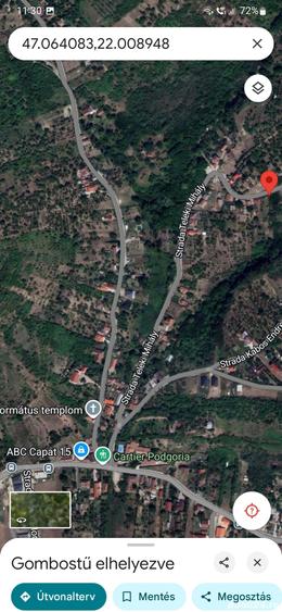 Teren de 1200 mp, în Podgoria