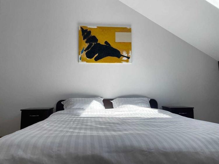 Apartament cu 2 camere nedecomandat în Central