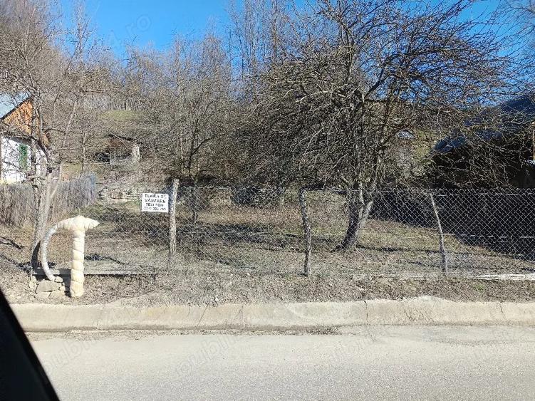 Teren de 1599 mp, în Nistorești