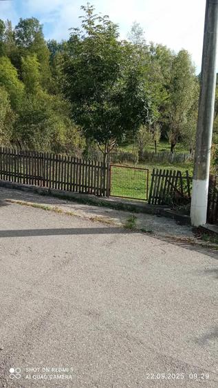 Teren de 1000 mp, în Vistieru