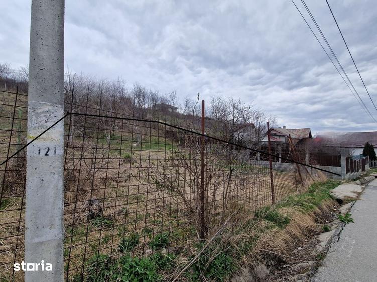 Teren de 584 mp, în Apahida