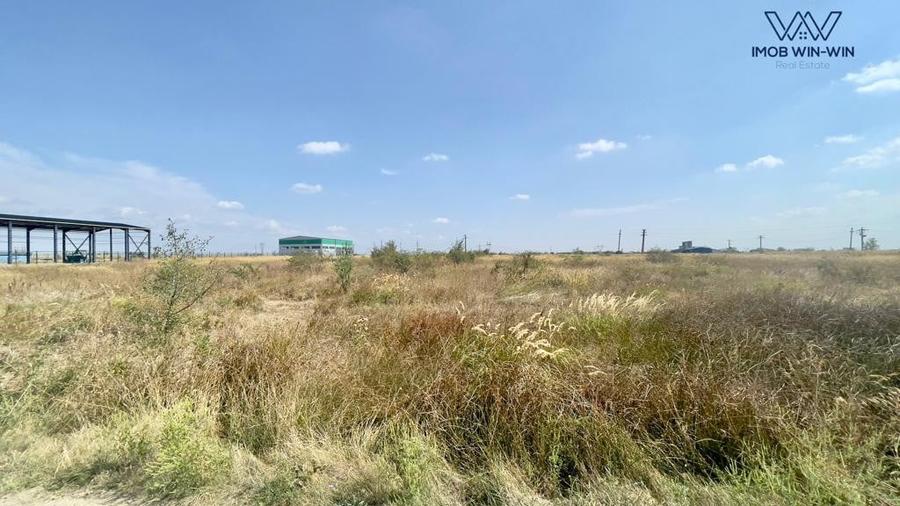 Teren Construcții intravilan de 6090 mp, în Albota