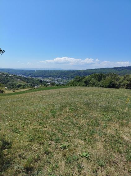 Teren agricol extravilan de 7300 mp, în Baciu