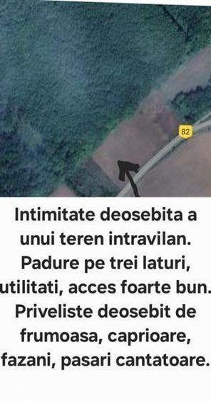 Teren de 1704 mp, în Râfov