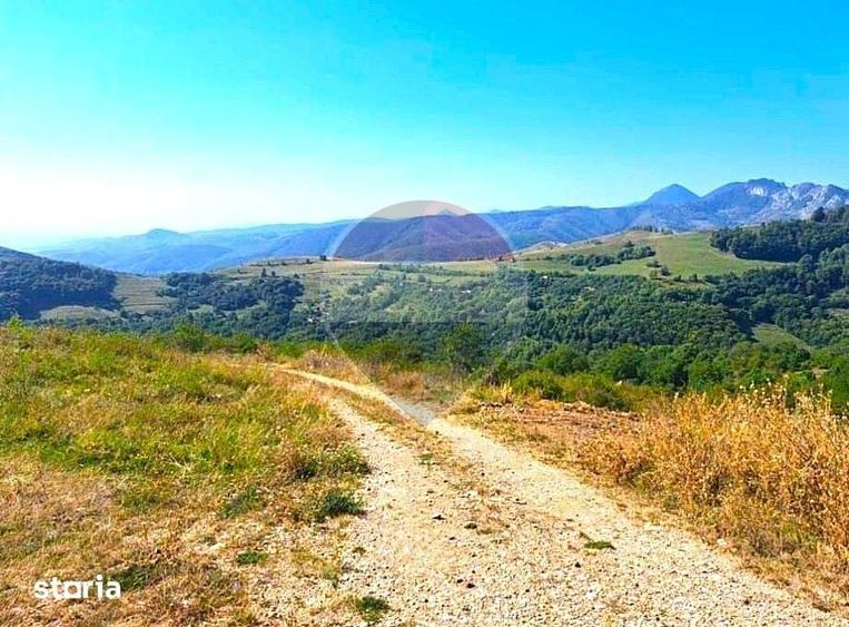 Teren de 18600 mp, în Mogoș