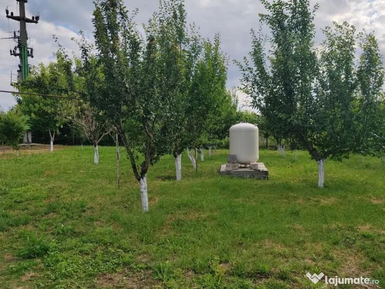 Casă cu 4 camere cu Teren 4800 Mp în Crețești