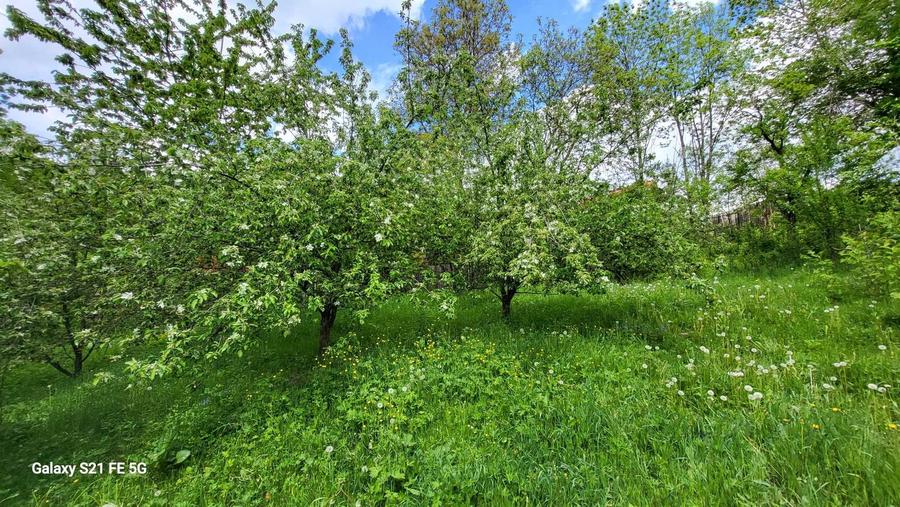 Casă cu 4 camere cu Teren 2344 Mp în Secăriei