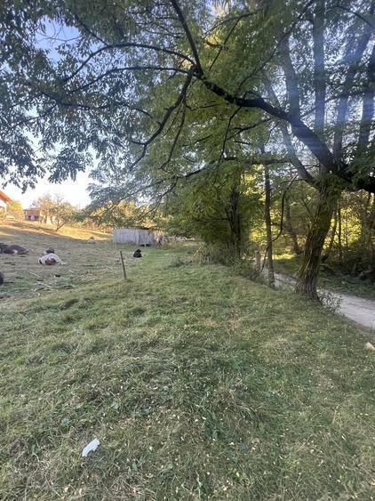 Teren de 5500 mp, în Tutana