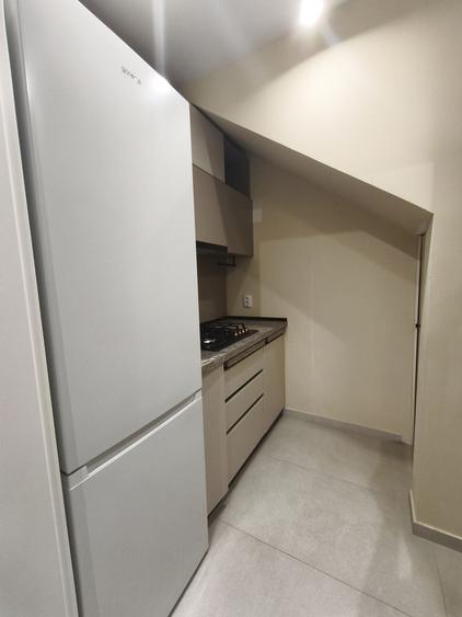 Apartament cu 2 camere decomandat în Dosu Bricii