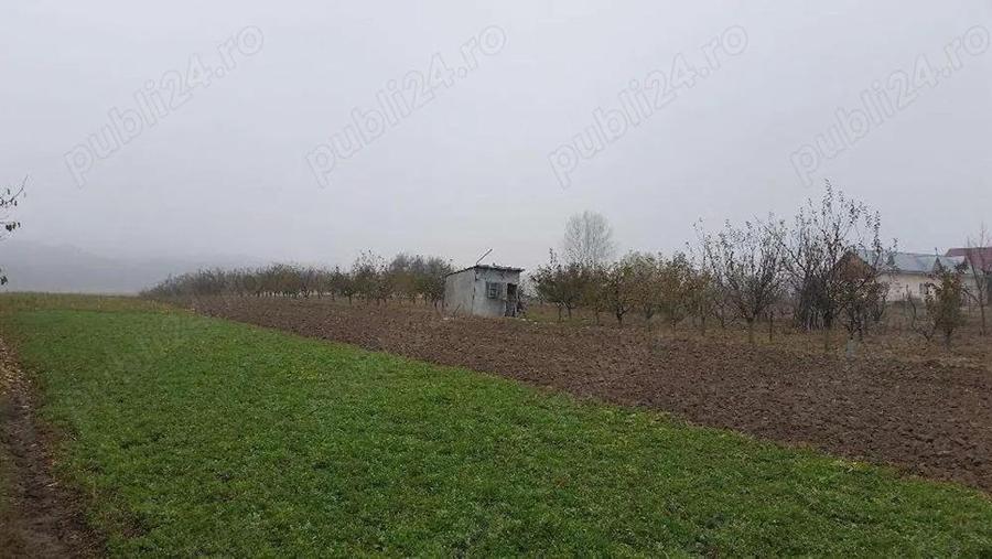 Casă cu Teren 1700 Mp în Mitocu Dragomirnei