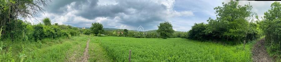 Teren Construcții intravilan de 15900 mp, în Fințești