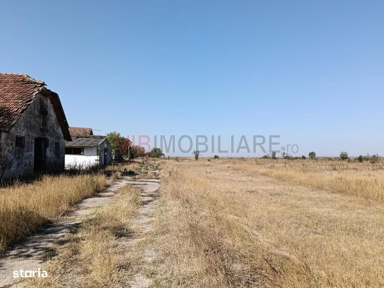 Spațiu comercial, în Murani