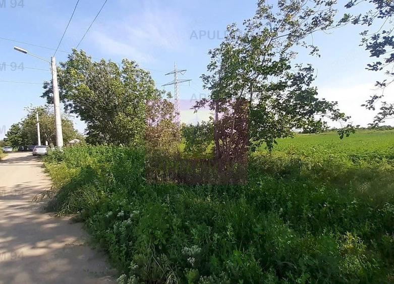 Teren de 5000 mp, în Copăceni