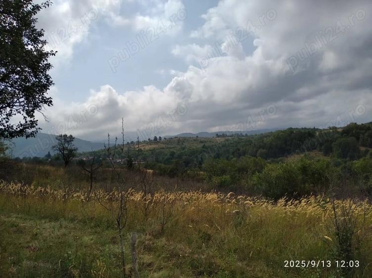 Teren de 2000 mp, în Șumița