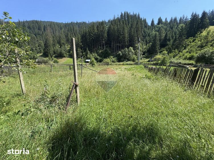 Teren de 1342 mp, în Borca