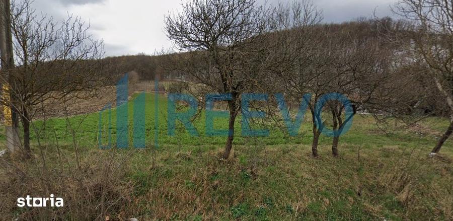 Vanzare Teren - Comuna Beresti-Tazlau, sat Bosoteni - 2