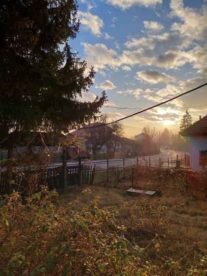 Teren de 3700 mp, în Jiblea Nouă