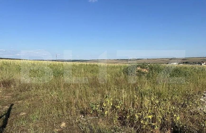 Teren Construcții intravilan de 11500 mp, în Marghita