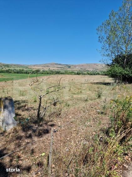 Teren de 5008 mp, în Iara