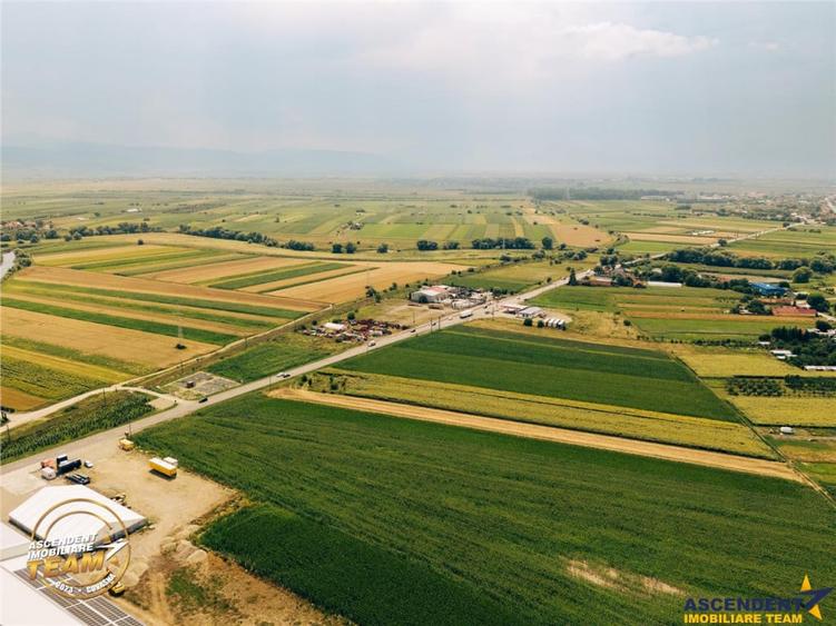 Teren de 7000 mp, în Chichiș
