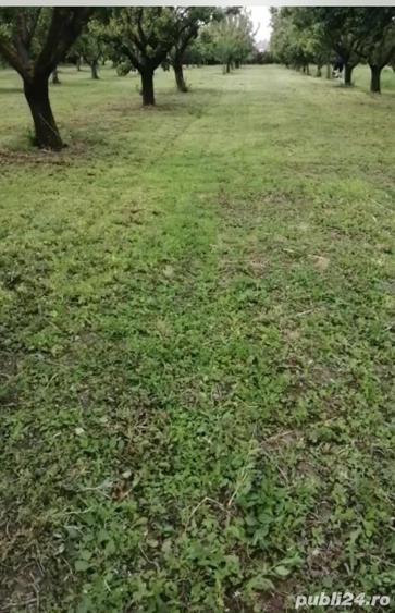 Casă în Căscioarele