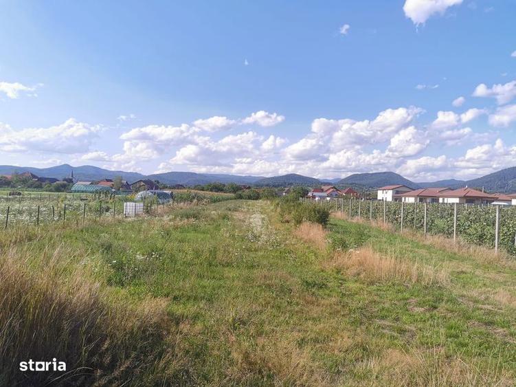 Teren de 2600 mp, în Recea