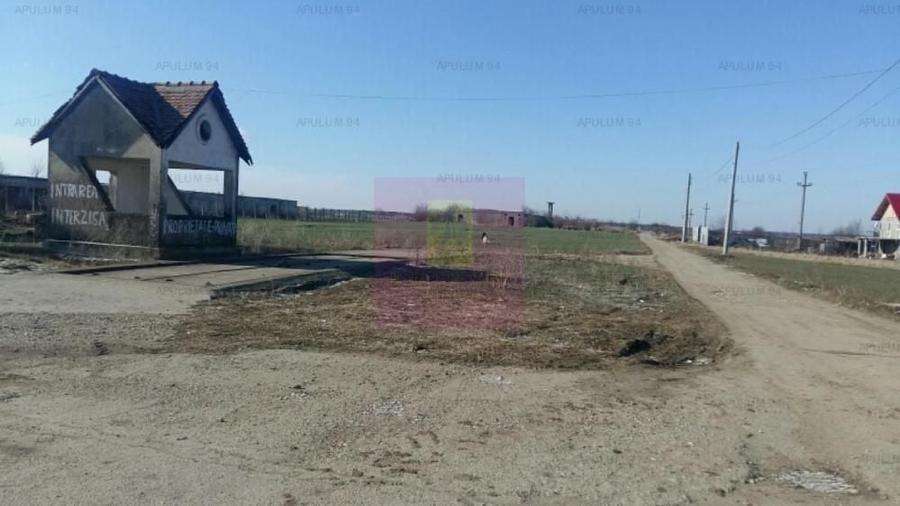 Teren în Săftica