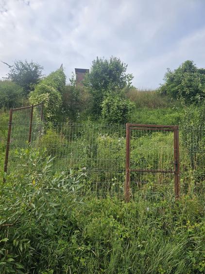 Teren de 1147 mp, în Sava