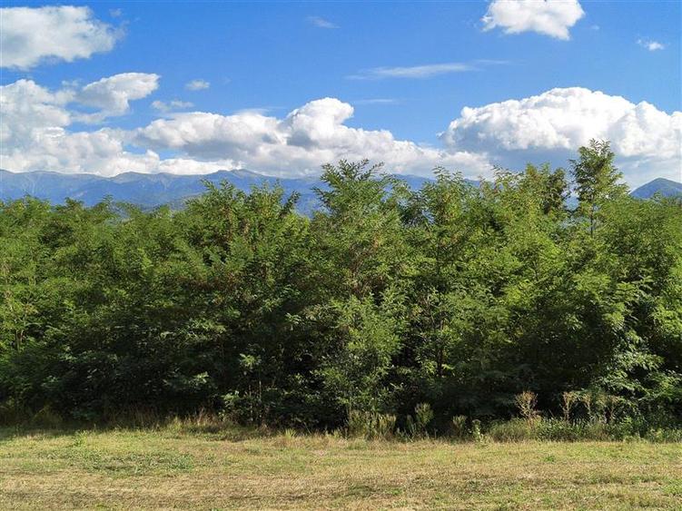 Teren agricol extravilan de 2500 mp, în Periferie