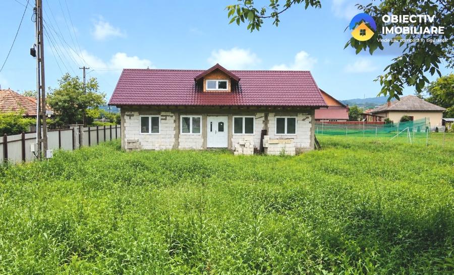 Casă + teren 2335 mp de vânzare – comuna Bodesti - 3