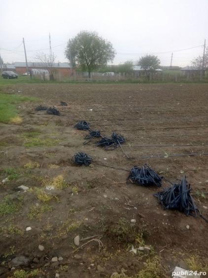 Teren de 2000 mp, în Dorobanți