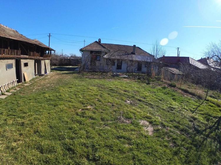 Casă cu 4 camere cu Teren 1770 Mp în Ciorani