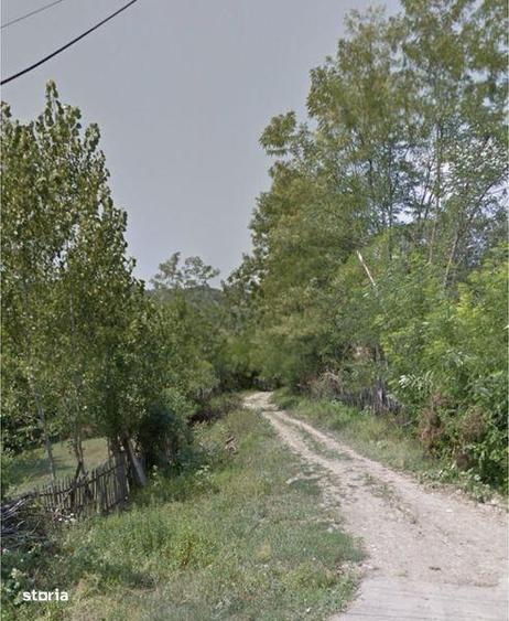 Teren de 5000 mp, în Vișinești