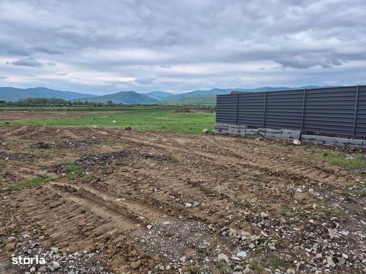 Carpinis/Tarlungeni, teren intravilan 1450 mp, construibili - 7
