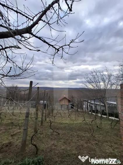 Teren de 17300 mp, în Central