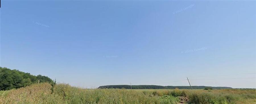 Teren Construcții intravilan de 210000 mp, în Mogoșoaia