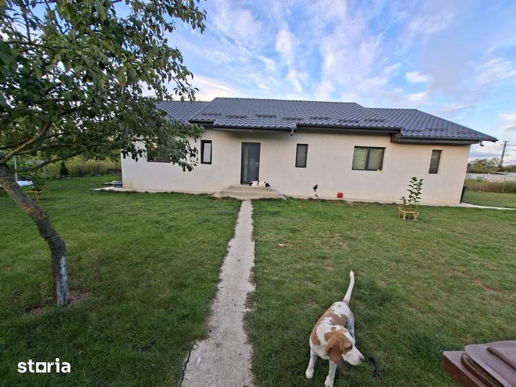 Casă cu 3 camere cu Teren 1600 Mp în Prisăcani