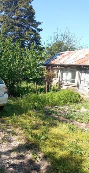 Casă cu 3 camere cu Teren 2588 Mp în Suhaia