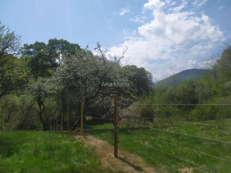Teren de vanzare la marginea padurii, aproape de Sali?te, jud Sibiu