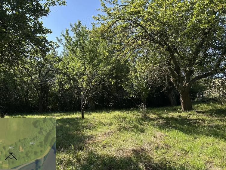 Teren de 11600 mp, în Ceuaș