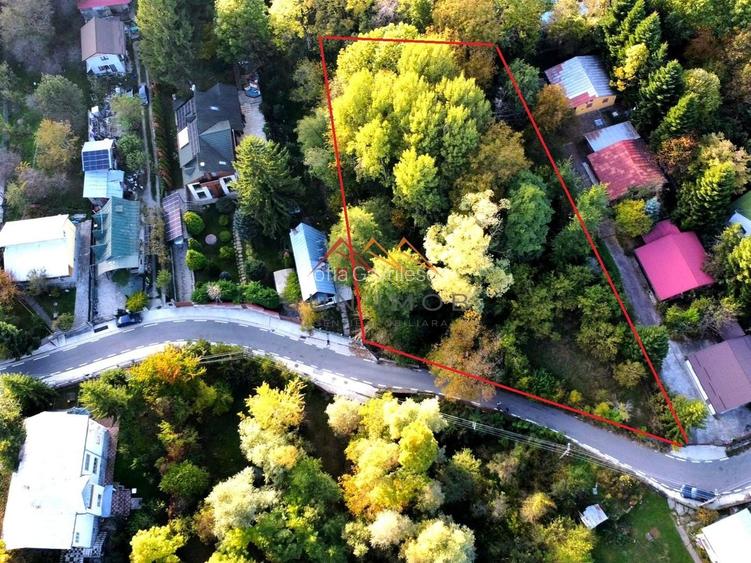 Teren intravilan 2020 mp | Breaza | Zonă centrală