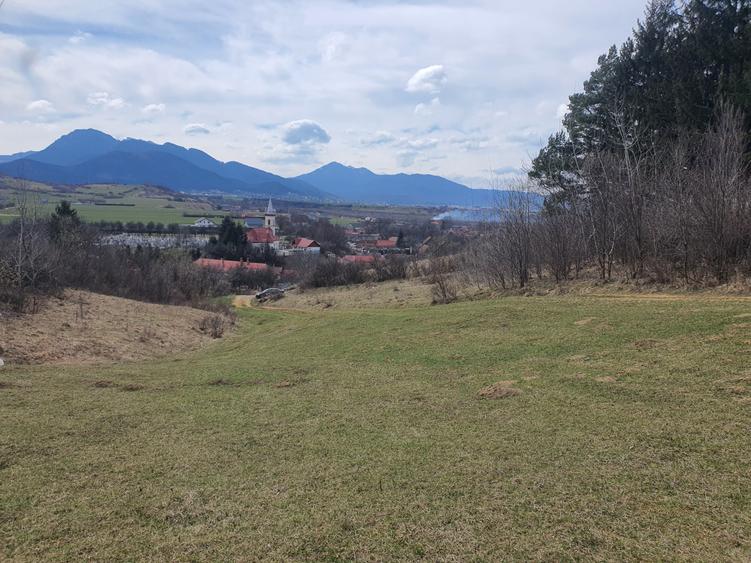Teren agricol extravilan de 3600 mp, în Tărlungeni