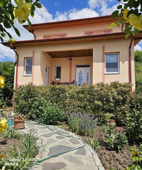 Casa noua Podgoria, 1035 mp teren - 11