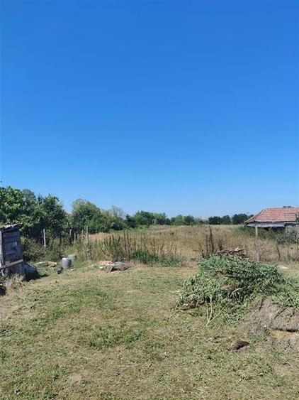 Teren Construcții intravilan de 2500 mp, în Paleu