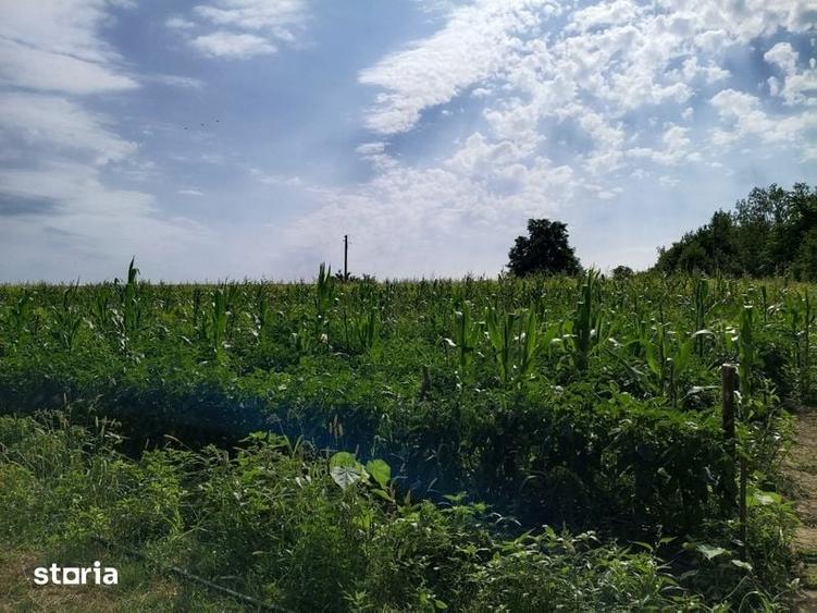 Teren de 1400 mp, în Central