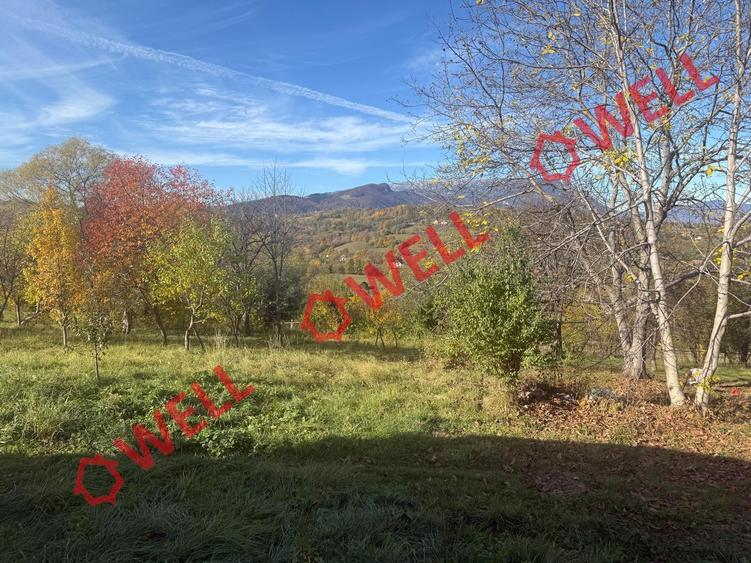 Casă individuală cu 2 camere cu Teren 4831 Mp în Sohodol