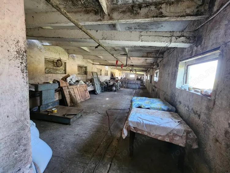 Spațiu comercial, de 600 mp, în Sânandrei